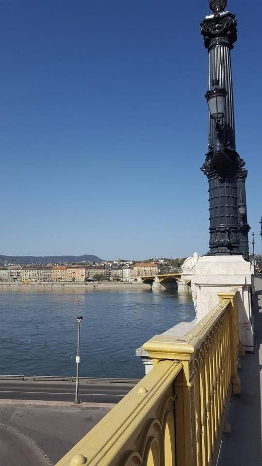 New, High Quality Apartment In The City Center Budapest Esterno foto